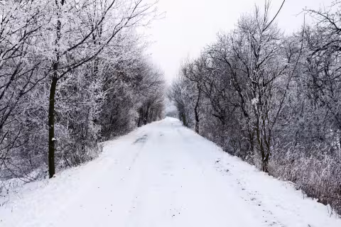 Zima 